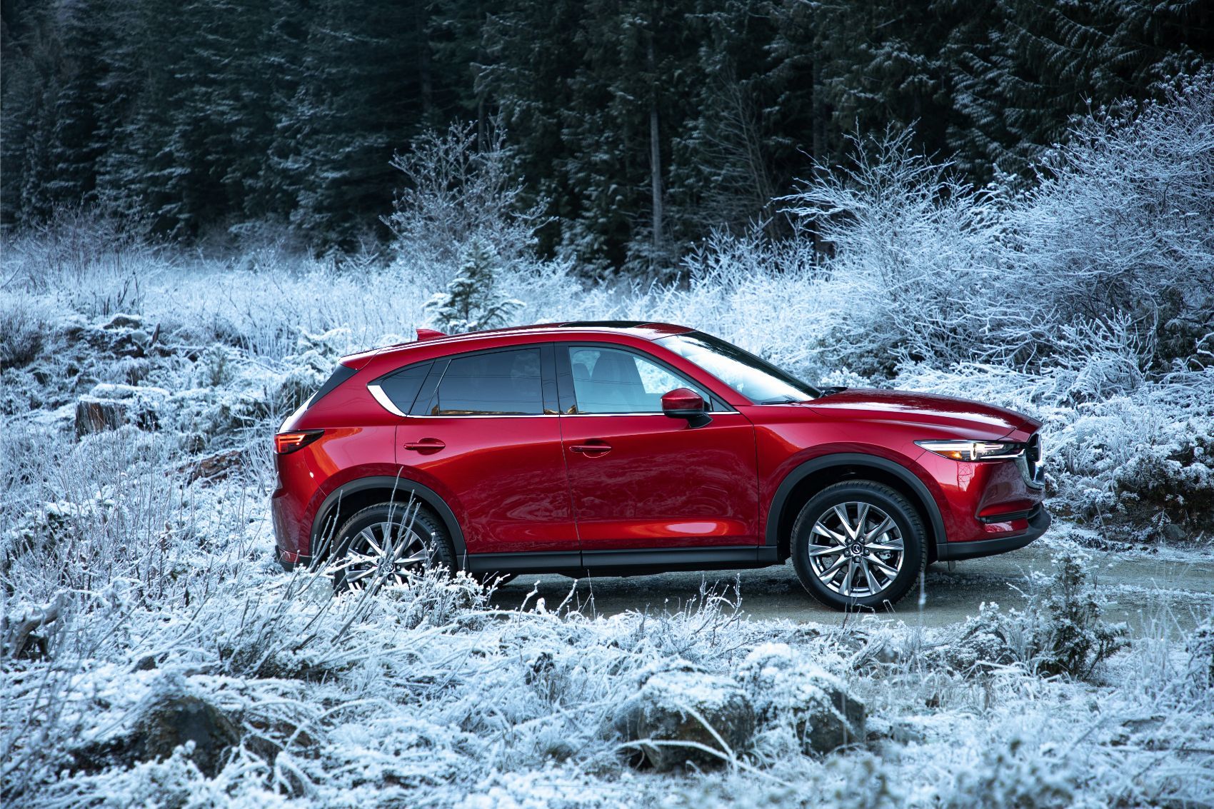 Extending your Mazda warranty can help protect your CX-5 or other Mazda vehicles. 
